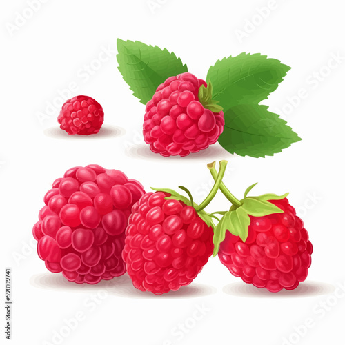 Set of vector images featuring ripe and succulent raspberries.