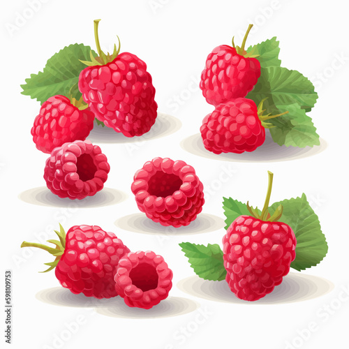 Create eye-catching designs with this set of raspberry vector images.