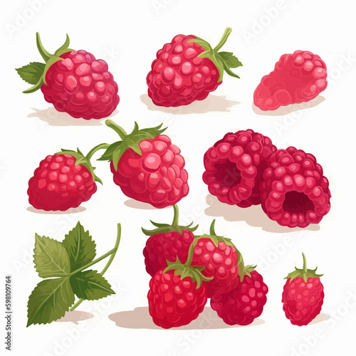 Illustrate your summer-themed projects with these raspberry vector graphics.