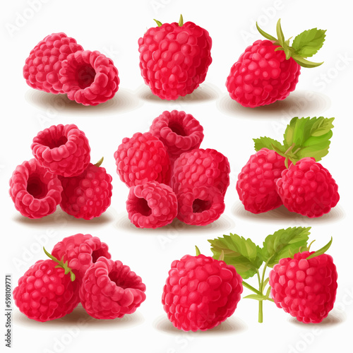 Set of vector illustrations showcasing the unique texture of raspberries.