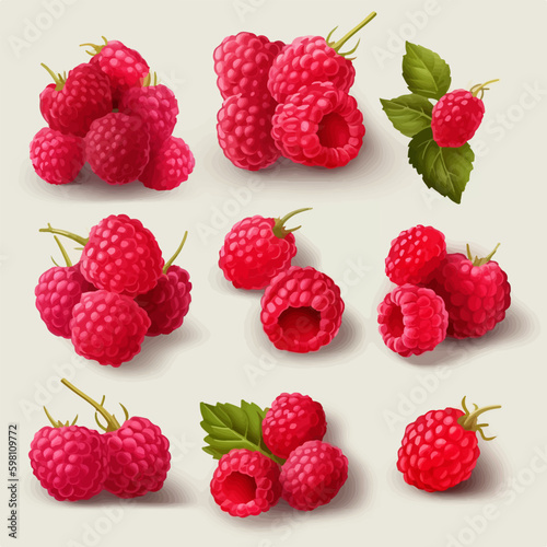 Illustrate your packaging designs with these vibrant raspberry vector graphics.
