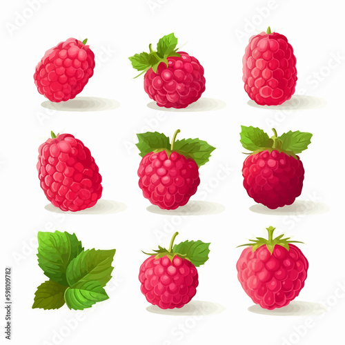 Vector illustrations of raspberries that will make your designs stand out.