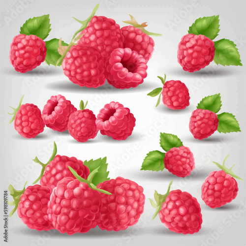 A pack of vector illustrations showcasing the vibrant colors of raspberries.