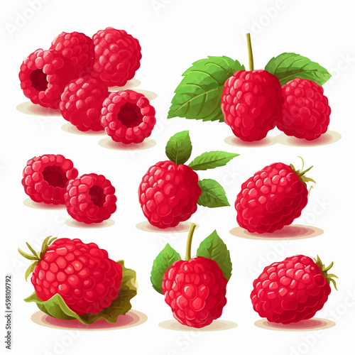Vector illustrations of raspberries that will add a refreshing element to your designs.