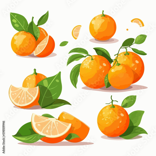 A set of tangerine-themed vector graphics  perfect for food and beverage designs.