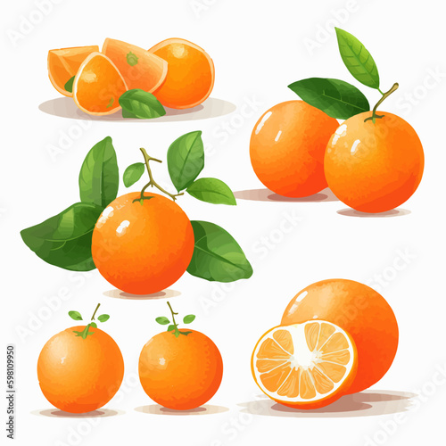 A collection of vector illustrations featuring mouthwatering tangerines.