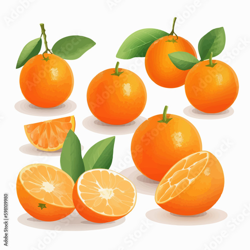 A collection of vector illustrations capturing the essence of juicy tangerines.
