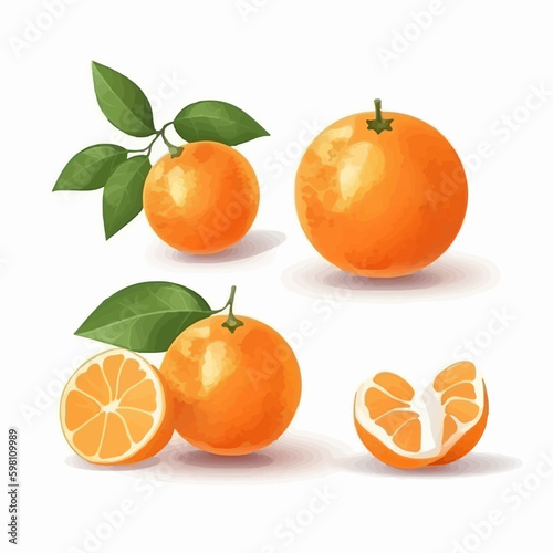 A refreshing tangerine vector illustration  perfect for fruit-themed artwork.