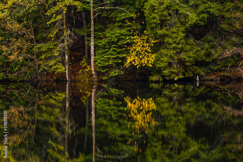 Fototapeta Naklejka Na Ścianę i Meble -  Autumn view of the lake