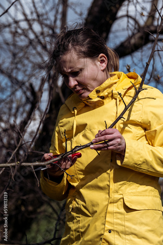 A woman in the garden cuts branches on a tree with scissors.