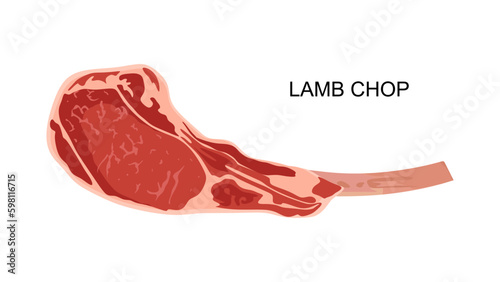 Lamb chop in flat illustration. Meat product isolated on white background. Piece of chop lamb with bone. Vector illustration