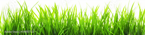 Green grass isolated on white background  field  grassland  nature eco background  generated ai