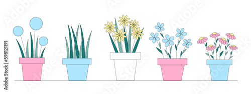 Flat vector illustration of flowers in pots, indoor plants and flowers, daisies, dandelions in pots.
