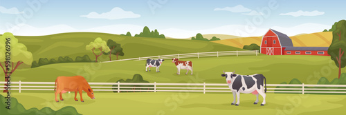 Farm panoramic landscape. Rural farmland cartoon background, agriculture abundance with cow and farmhouse in spring field, countryside green meadow on ranch, vector illustration