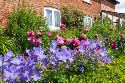 An English country garden, bright beautiful flowers blooming outside the windows of an old fashioned cottage in rural England, with roses growing up the wall. © Eileen
