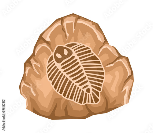 Archaeological fossil dig
