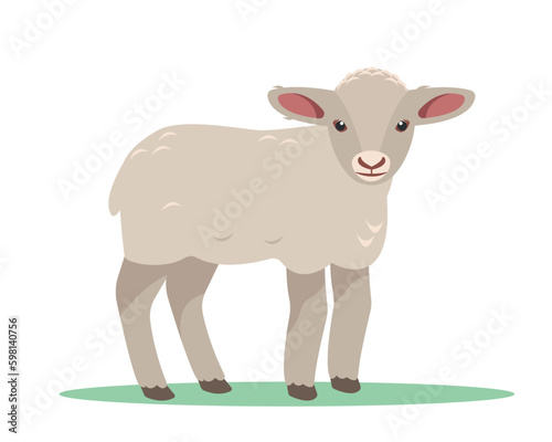 Baby sheep icon. Farm animal. Wool meat production. Lamb isolated on white background. Vector flat or cartoon illustration.