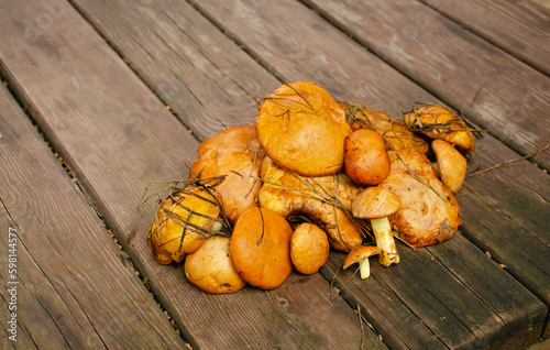Fresh mushrooms on a wooden table. Heap of freshly picked mushrooms.