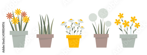 Flat vector illustration of flowers in pots,  potted plants set, indoor plants, garden flowers