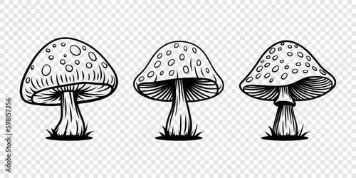 Vector Hand Drawn Mushroom With Outline Icon Set Isolated. Amanita Muscaria, Fly Agaric Scetch, Doodle, Linear Sign Collection. Magic Mushroom Symbol, Design Template. Vector illustration