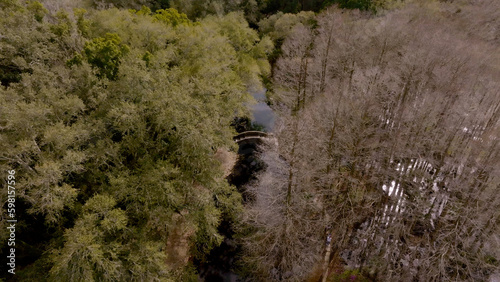 person walking in the woods