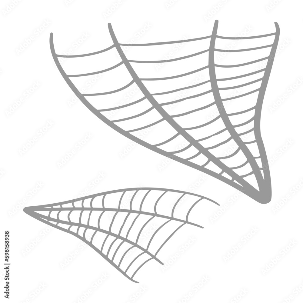 Spider web vector for your graphic element Spider web vector for your graphic element
