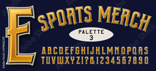 A condensed alphabet with 3d effects, ideal for sports merchandising, t-shirts, sweats, hats, banners, etc.