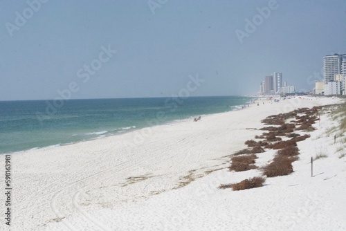 Foley, Alabama, sites and Nature, Pier, Beach, Birds photo