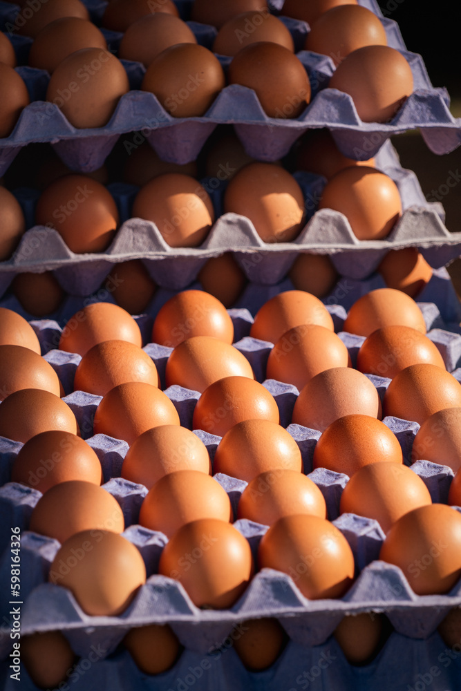 eggs in the market