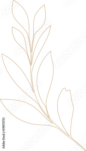 floral leaves outline, floral leaf, design, nature, summer, illustration, vector, spring, foliage