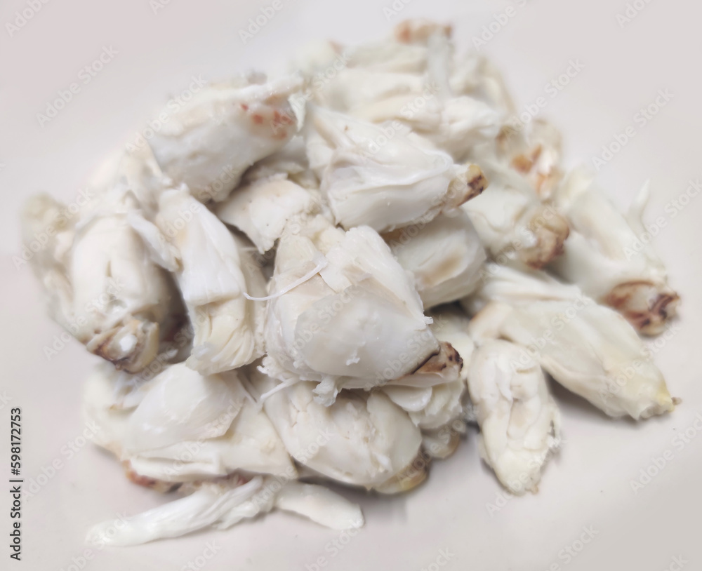 Steamed fresh stone crab meat isolate on white backgrounds, Cheliped of the crab, prepared raw shell animal at homemade gourmet restaurant Steamed fresh stone crab meat isolate on white backgrounds, Cheliped of the crab, prepared raw shell animal at homemade gourmet restaurant