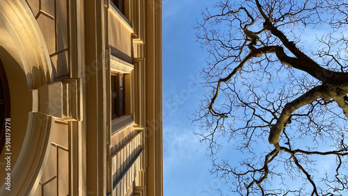 tree, building and sky