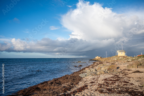 Obraz na płótnie Küstenlandschaft in schweden Torekov Hamn w salonie