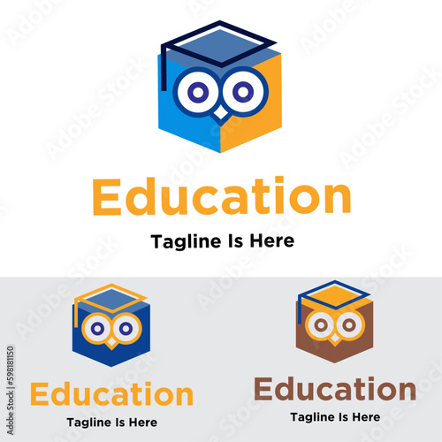 Colorful unique and creative box education logo

