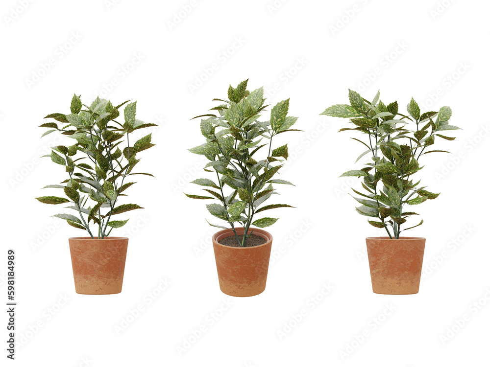 3d render isolated/cutout tree on terracotta pot, in 3 different view 3d render isolated/cutout tree on terracotta pot, in 3 different view