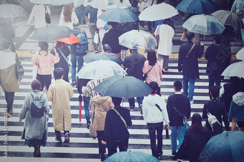 雨の日の横断歩道 photo