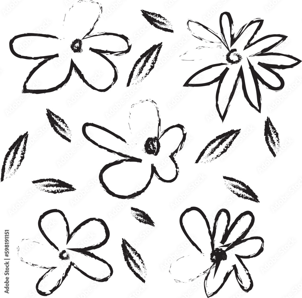custom made wallpaper toronto digitalChamomile hand drawn black paint vector set. Ink drawing flowers and plants, botanical rough line illustration. Isolated floral elements, daisy, aster, chrysanthemum. Line childish drawings