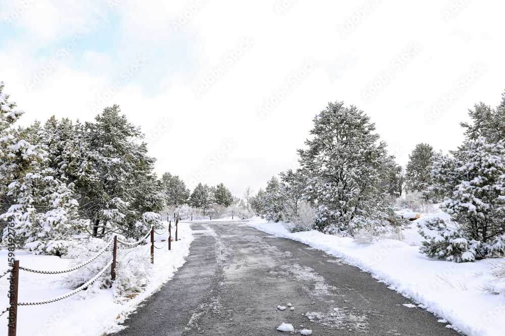 Fototapeta premium Snowy Road on Grand canyon