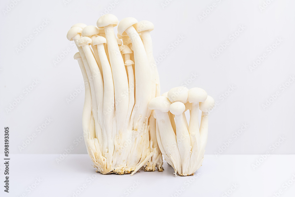 White beech or shimeji edible mushrooms on white.