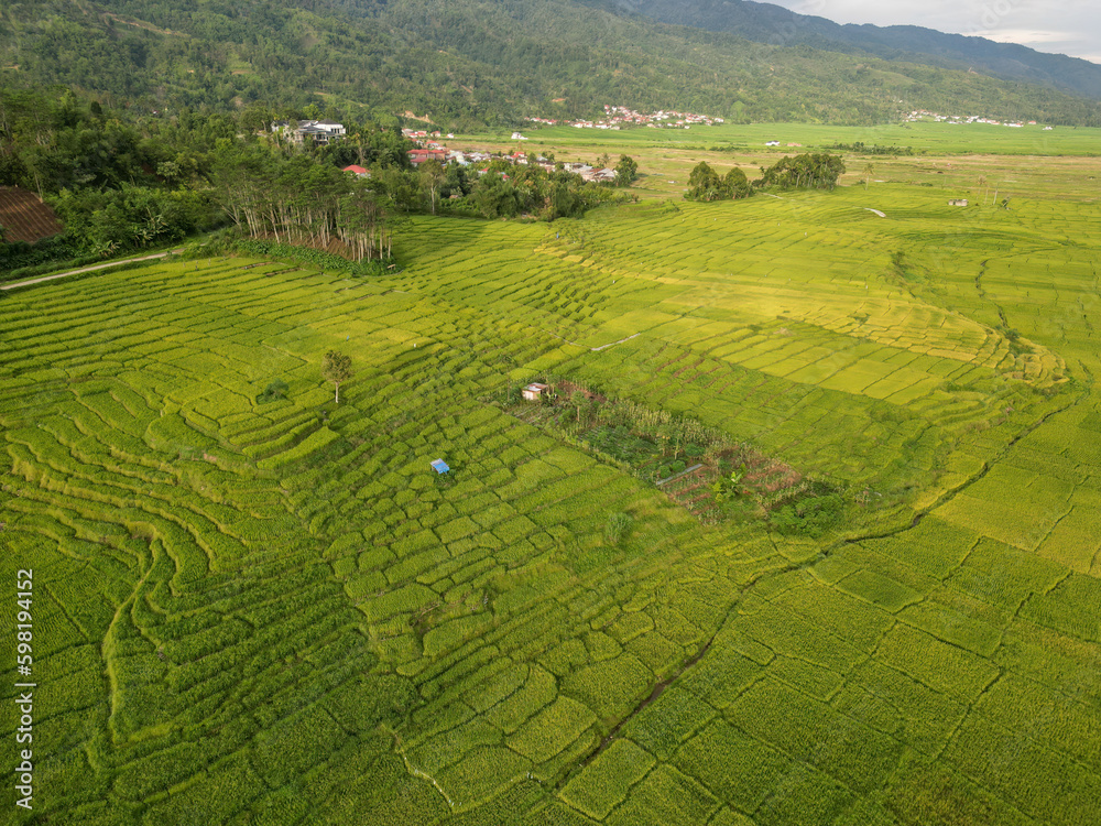 Aerial view rice terraces in island