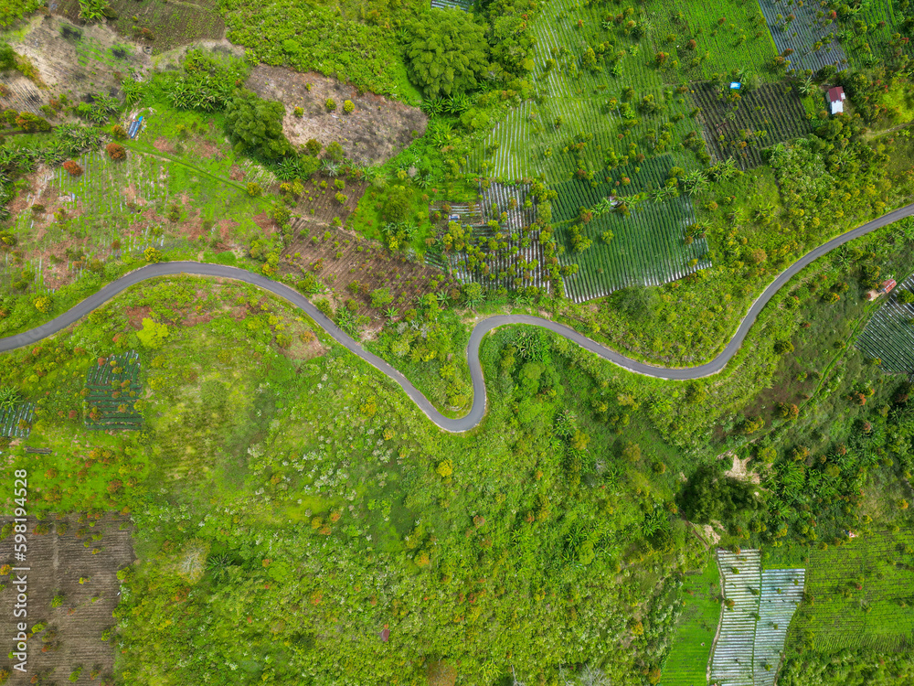 Aerial view of winding road in the middle of a field