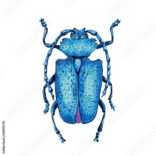 Blue longhorn beetle.Hand drawn marker and watercolor drawing.The cut element clip art element for design decoration.