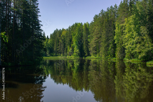 Beautiful river in the forest