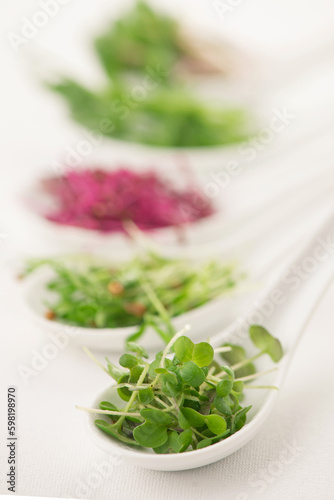 The concept of a healthy diet, the cultivation of microgreens - red amaranth, mustard, arugula, peas, cilantro in white spoons on a white background