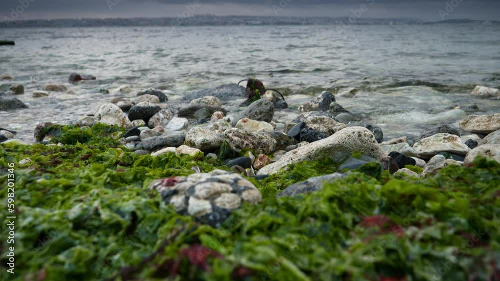 Slow motion of sea waves rolling on rocky beach over cliffs and stones overgrown with seaweeds and algae. Beautiful landscape, natural background, marine backdrop Slow motion of sea waves rolling on rocky beach over cliffs and stones overgrown with seaweeds and algae. Beautiful landscape, natural background, marine backdrop