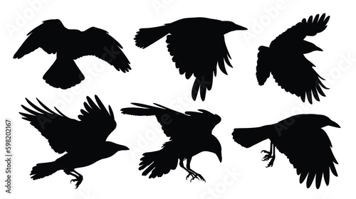 A set of silhouettes ravens in flight. 