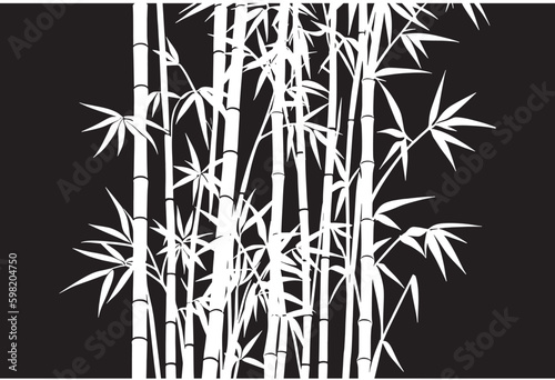 Fototapeta Naklejka Na Ścianę i Meble -  Bamboo With Black Background Set Vector