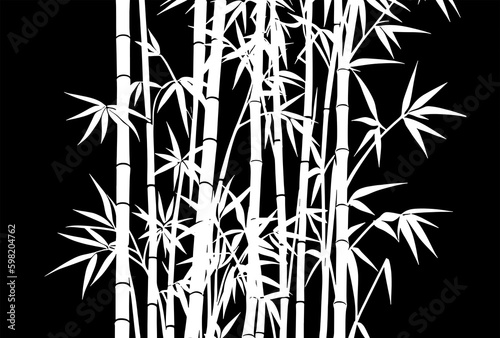 Bamboo With Black Background Set Vector