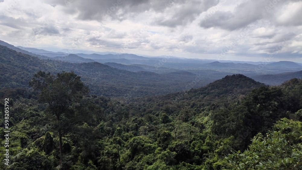 clouds over the hilly forest.