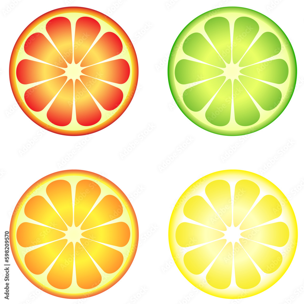 set of citrus fruits vector set of citrus fruits vector